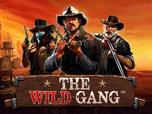 The Wild Gang screenshot